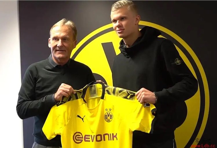 奥利塞赫：我从一个重要人物那里得知，奥斯梅恩将会加盟皇马（奥利塞赫透露：从关键人士处获悉，奥斯梅恩将加盟皇马）